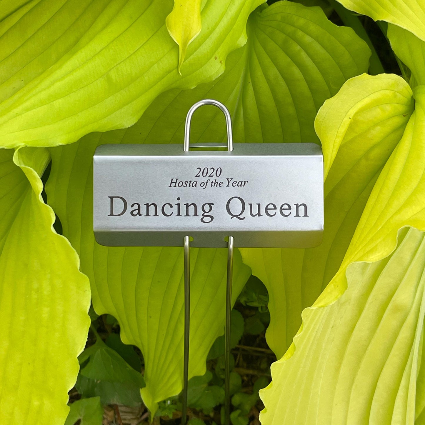 Classic Botanical Marker - Stainless Steel