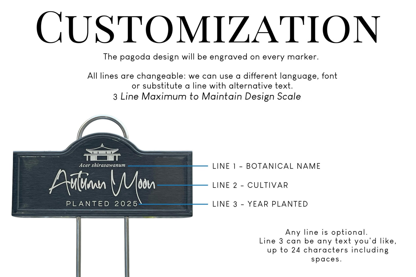 Personalized Tree Laser Engraved Black Tree Marker Stake Garden Accessory