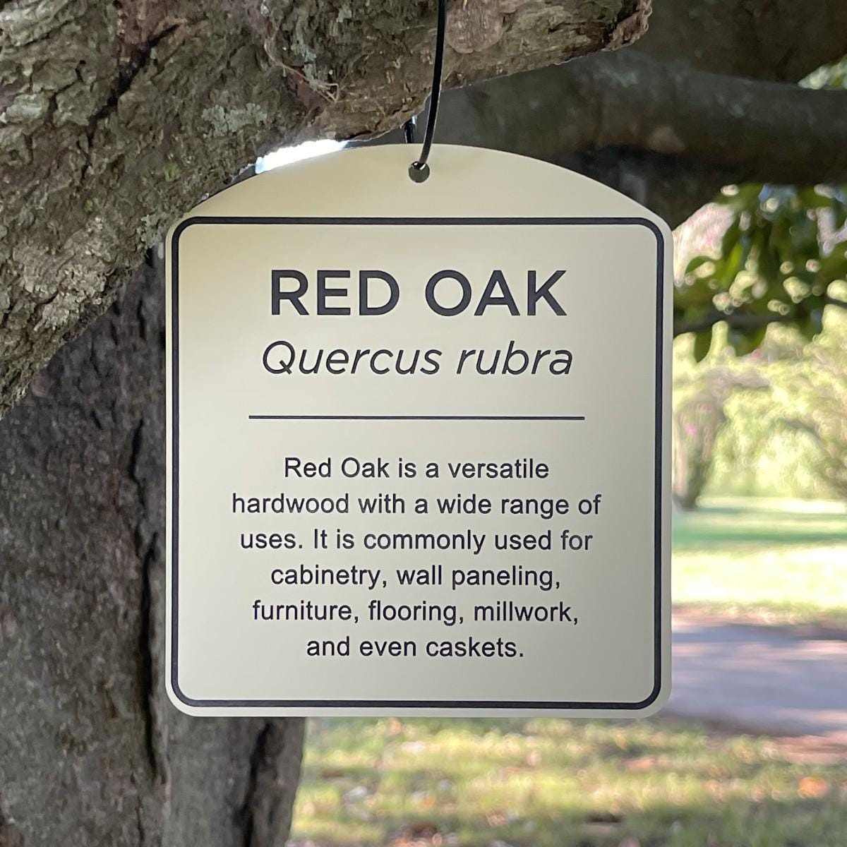 Tree Tags