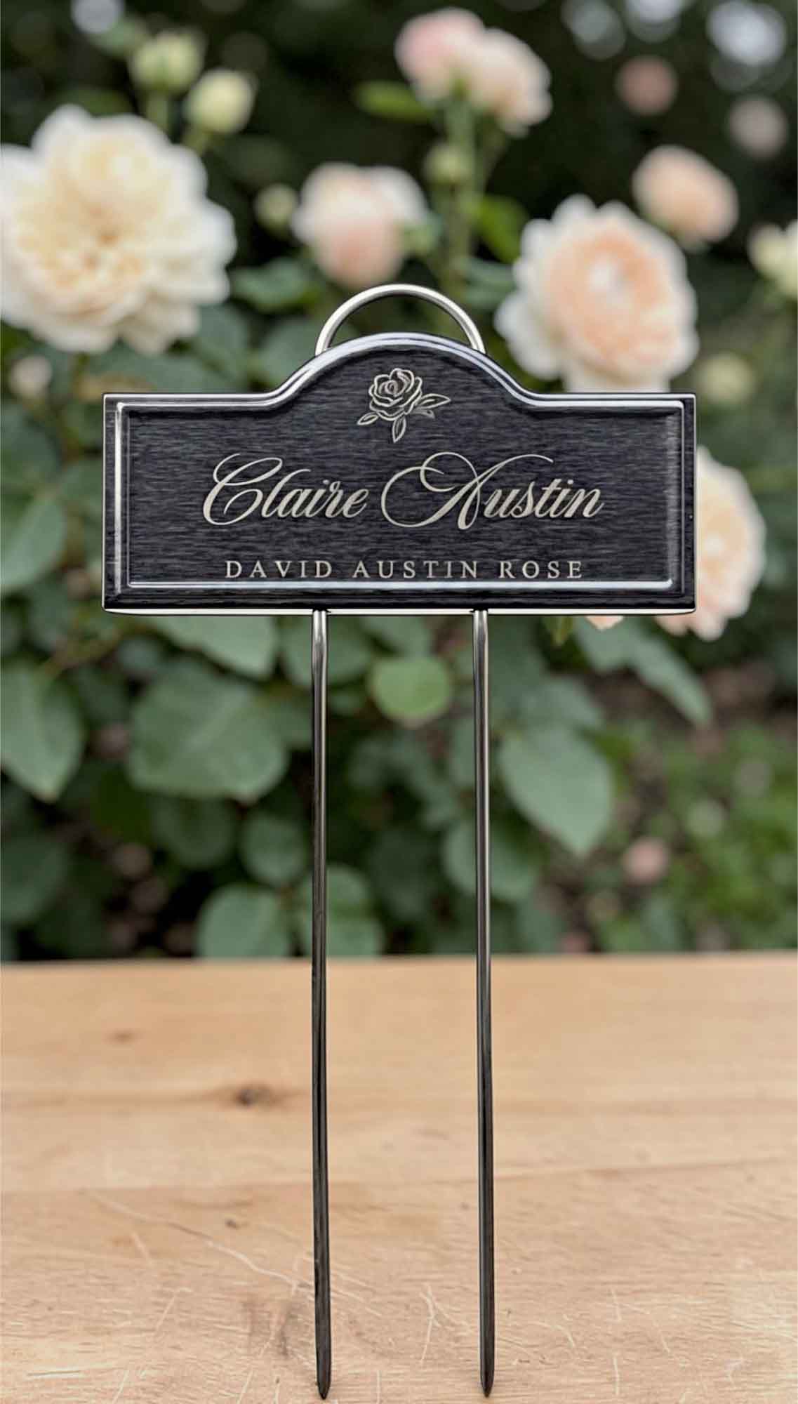 Our Decorative Arched Marker engraved with Claire Austin by David Austin Rose in the dark brushed bronzed finish set in front of a spray of delicate soft pink-cream roses