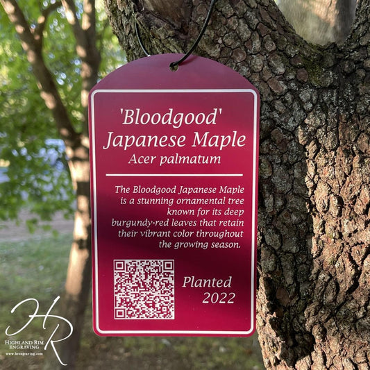 Extra Large All-Weather Tags for Trees or Shrubs