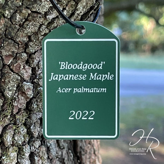 Extra Large Acrylic Tree Plaque