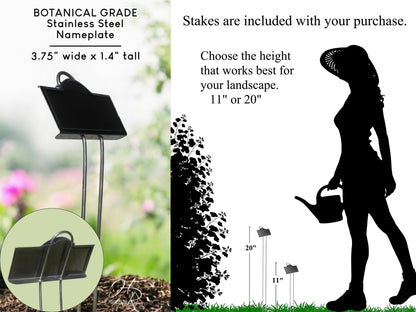 Dahlia Plant Marker – Engraved Botanical Tag for Garden Displays